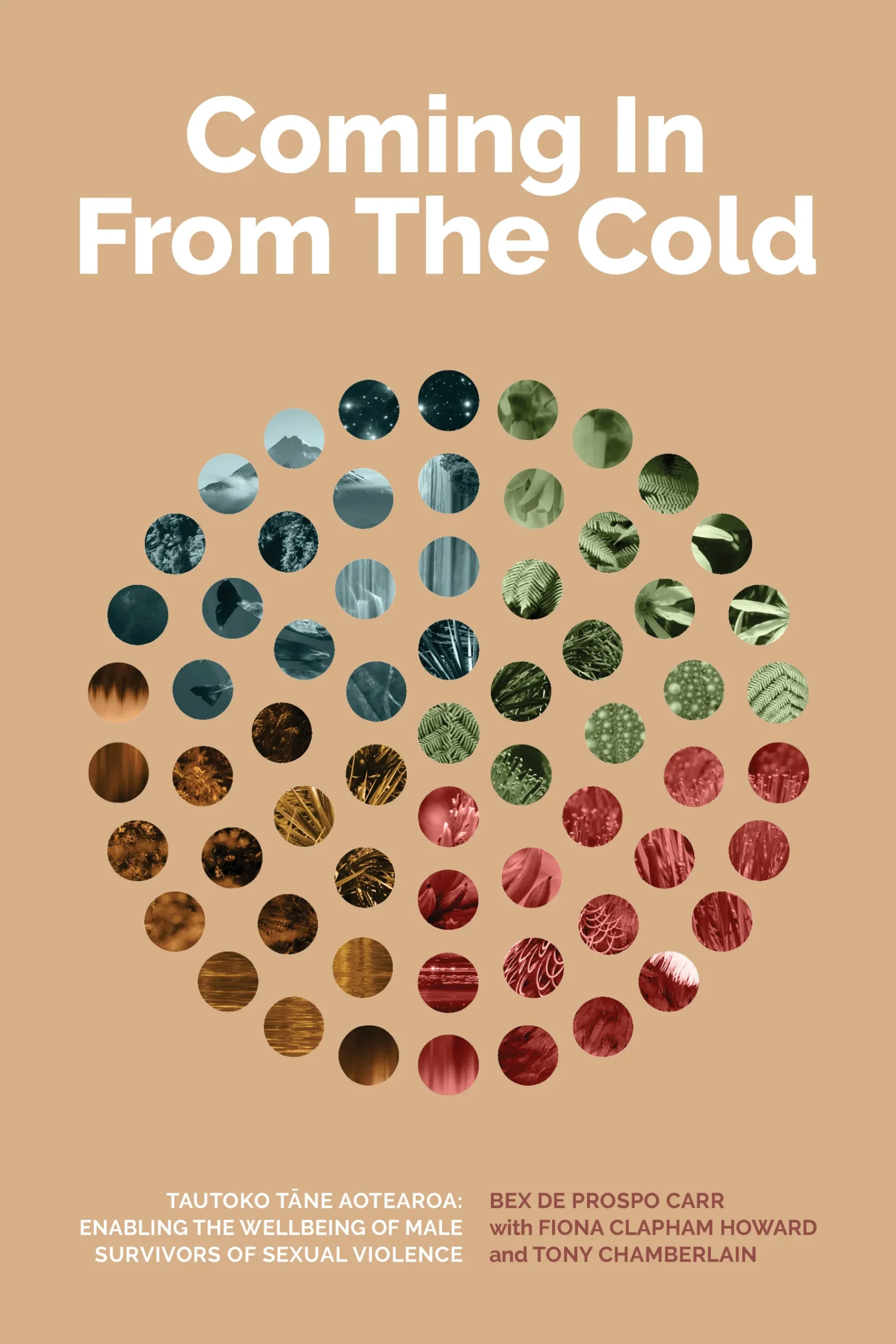 Coming in from the cold book cover